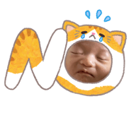 855607567