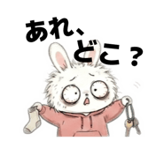 855609274