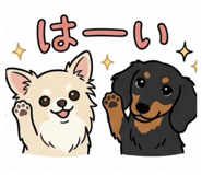 855609488