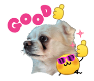855609665