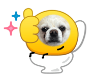 855609668