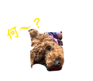 855609924