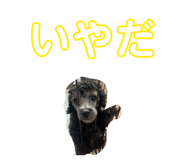 855609928