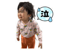 855610250