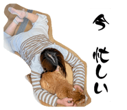 855610336