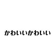 855610376