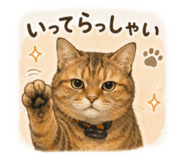 855610478