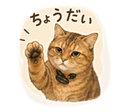 855610483
