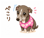 855610729
