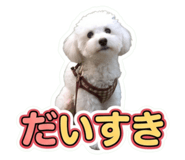 855611352