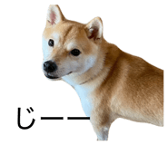 855611478