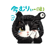 855612008