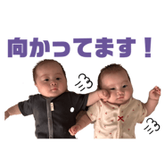 855612310