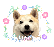 855612700