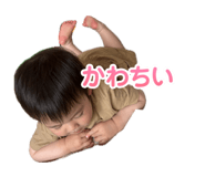 855612811