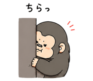 855612888