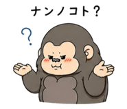 855612911