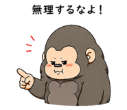 855612919