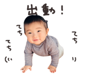 855613151