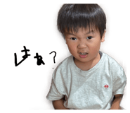 855613590