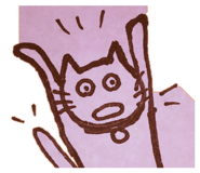 855613608