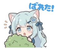 855613645