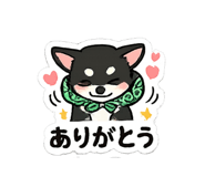 855613881
