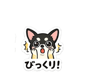 855613883