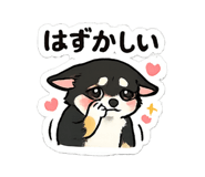 855613887