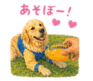 855614370