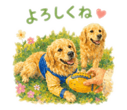 855614375