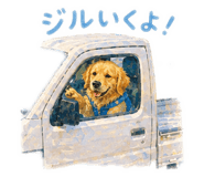 855614376