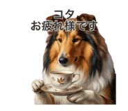 855614570