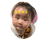 855614817