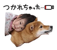 855614881