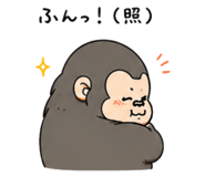 855615081