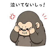 855615085