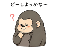 855615089