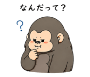 855615092