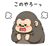 855615096