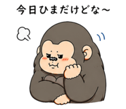 855615109