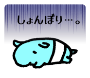 855615533