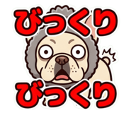 855615571