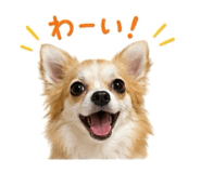 855615611