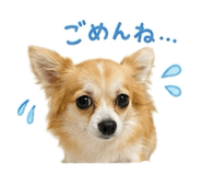 855615615