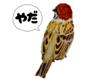 855616266
