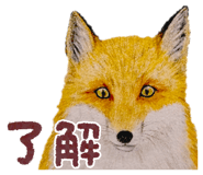 855616268