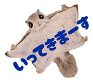 855616279