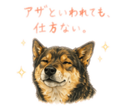 855616305