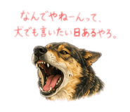 855616307